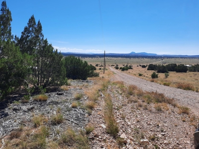Awesome Views from this Northern AZ property - image 11