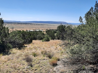 Awesome Views from this Northern AZ property - image 9