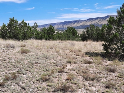 Awesome Views from this Northern AZ property - image 6