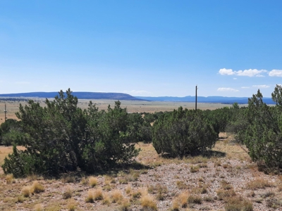 Awesome Views from this Northern AZ property - image 8