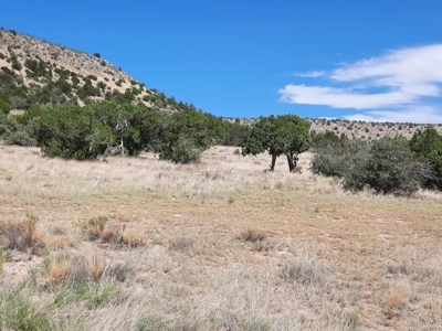 Awesome Views from this Northern AZ property - image 12