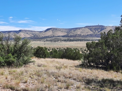 Awesome Views from this Northern AZ property - image 1