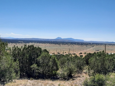 Awesome Views from this Northern AZ property - image 2