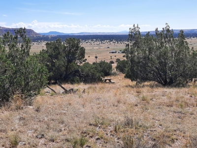 Awesome Views from this Northern AZ property - image 10