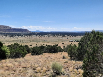 Awesome Views from this Northern AZ property - image 7