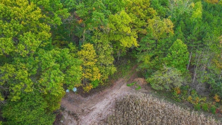 Country Home For Sale with 2 Acres in Amherst Junction - image 2