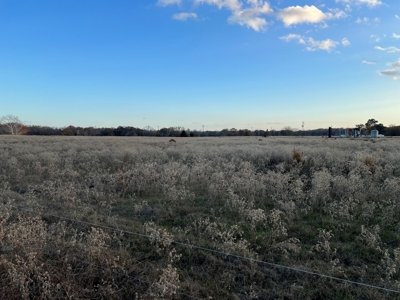 East TX Land for Sale in Quitman Wood County Near Lake Fork - image 12