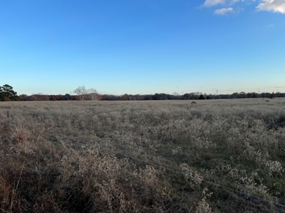 East TX Land for Sale in Quitman Wood County Near Lake Fork - image 9