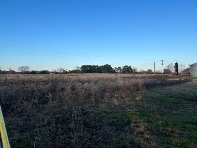 East TX Land for Sale in Quitman Wood County Near Lake Fork - image 6