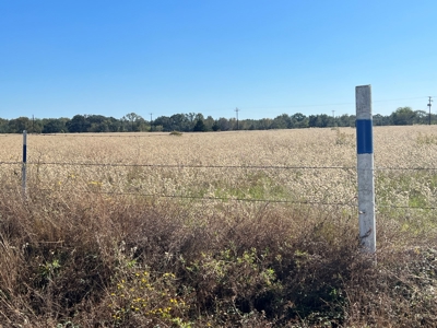 East TX Land for Sale in Quitman Wood County Near Lake Fork - image 17