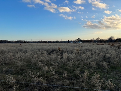East TX Land for Sale in Quitman Wood County Near Lake Fork - image 10