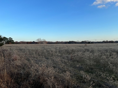 East TX Land for Sale in Quitman Wood County Near Lake Fork - image 8