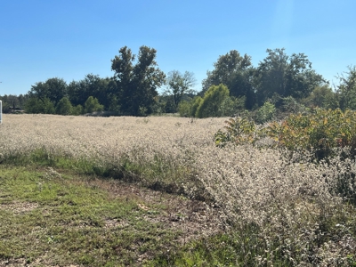 East TX Land for Sale in Quitman Wood County Near Lake Fork - image 16