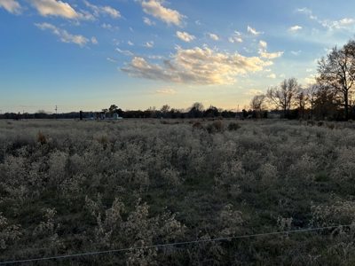 East TX Land for Sale in Quitman Wood County Near Lake Fork - image 11