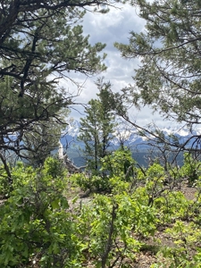 Mountain View Property Lot For Sale in Ridgway, Colorado - image 4