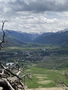 Mountain View Property Lot For Sale in Ridgway, Colorado - image 1