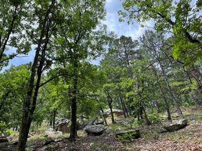 Acreage For Sale in Daisy, Oklahoma! - image 1