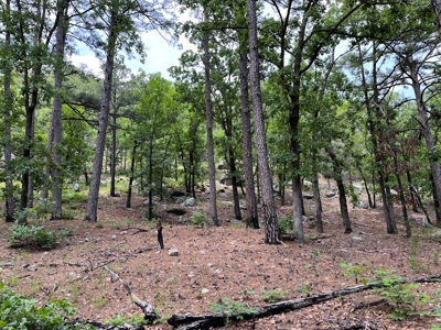 Acreage For Sale in Daisy, Oklahoma! - image 8
