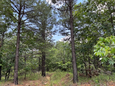 Acreage For Sale in Daisy, Oklahoma! - image 9