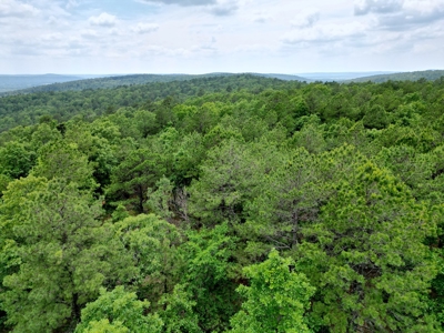 Acreage For Sale in Daisy, Oklahoma! - image 2