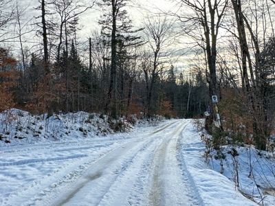 Mountain View Land for Sale - image 7