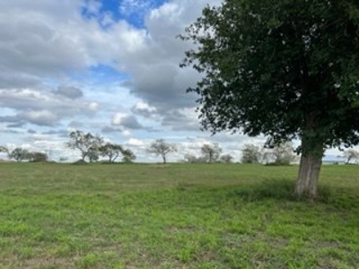 Acreage in Indian Hills, Lake Corpus Christi, Texas - image 11