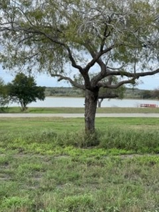 Acreage in Indian Hills, Lake Corpus Christi, Texas - image 4