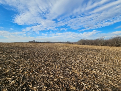 64 M/L Acres Ready For Your Dreams And Development - image 10