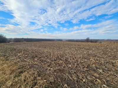 64 M/L Acres Ready For Your Dreams And Development - image 13