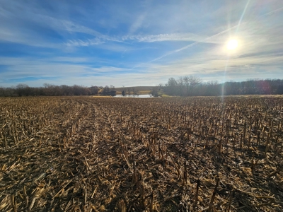 64 M/L Acres Ready For Your Dreams And Development - image 4