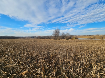 64 M/L Acres Ready For Your Dreams And Development - image 1