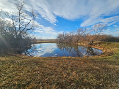 64 M/L Acres Ready For Your Dreams And Development - image 9