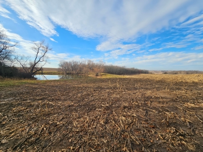 64 M/L Acres Ready For Your Dreams And Development - image 8