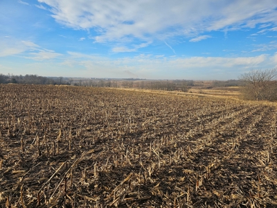 64 M/L Acres Ready For Your Dreams And Development - image 3