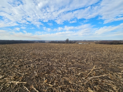 64 M/L Acres Ready For Your Dreams And Development - image 14
