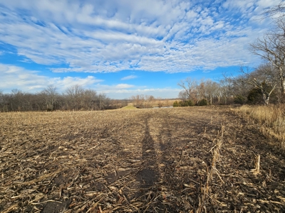 64 M/L Acres Ready For Your Dreams And Development - image 11