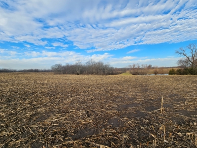 64 M/L Acres Ready For Your Dreams And Development - image 12