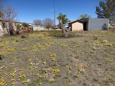 2 ½ acres in the Richland Ranchettes in Cochise AZ - image 10