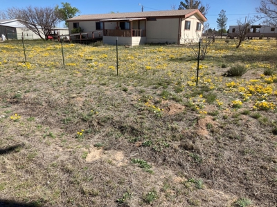 2 ½ acres in the Richland Ranchettes in Cochise AZ - image 4