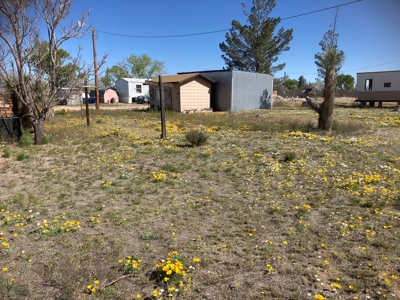 2 ½ acres in the Richland Ranchettes in Cochise AZ - image 9