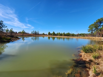 Off-Grid Cabin Building Location – Fishing Pond - image 4