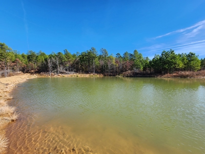 Off-Grid Cabin Building Location – Fishing Pond - image 1