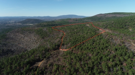 Off-Grid Cabin Building Location – Fishing Pond - image 16