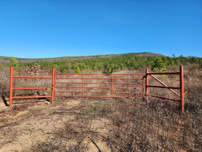 Off-Grid Cabin Building Location – Fishing Pond - image 13