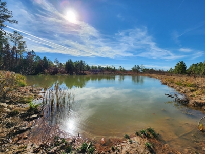 Off-Grid Cabin Building Location – Fishing Pond - image 6
