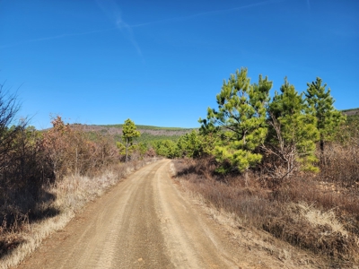 Off-Grid Cabin Building Location – Fishing Pond - image 14
