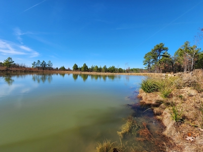 Off-Grid Cabin Building Location – Fishing Pond - image 5
