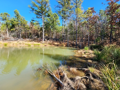Off-Grid Cabin Building Location – Fishing Pond - image 3