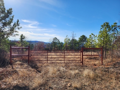 Off-Grid Cabin Building Location – Fishing Pond - image 12