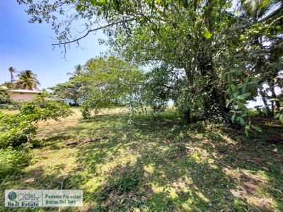 Oceanfront Lot for Sale in Best Location of Panama - image 12